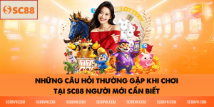 Những Câu Hỏi Thường Gặp Khi Chơi Tại SC88 Người Mới Cần Biết